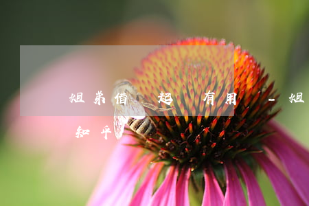 姐弟借錢起訴有用嗎-姐弟借錢起訴有用嗎知乎