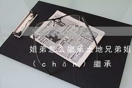 姐弟怎么繼承土地(兄弟姐妹財(cái)產(chǎn)繼承)