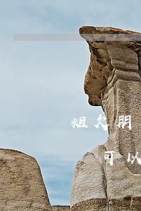 姐欠朋友信用卡不還咋辦(朋友欠我信用卡不還,可以報案嗎?)