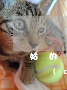 姑媽的遺產(chǎn)可以繼承嗎(姑媽的遺產(chǎn)可以繼承嗎)