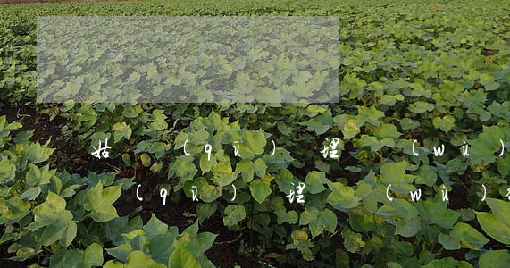 姑蘇區(qū)處理債務(wù)律師(姑蘇區(qū)處理債務(wù)律師事務(wù)所)