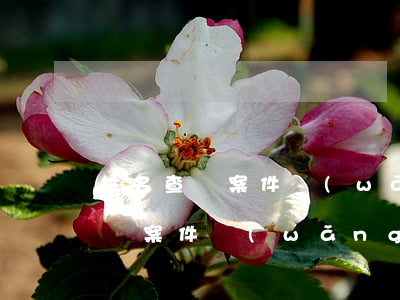 姓名查詢案件網(wǎng)上查詢(姓名查詢案件網(wǎng)上查詢樂亭縣正信小額貸款公司)