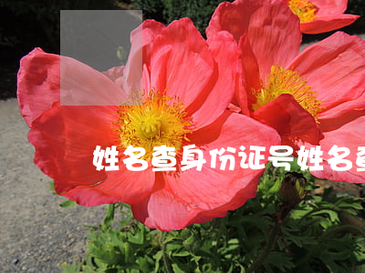姓名查身份证号(姓名查身份证号码查询住址)