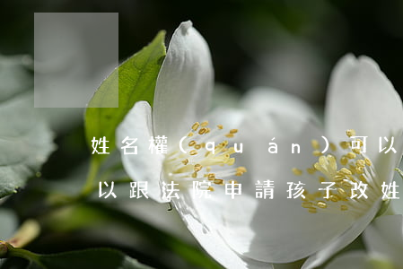 姓名權(quán)可以要求法院改姓嗎(可以跟法院申請孩子改姓嗎)