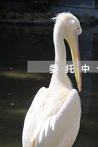 委托中介賣房后又反悔！法院判：雙倍返還定金！