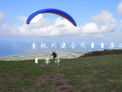 委托代建合同糾紛案件如何(委托代理合同糾紛案件)
