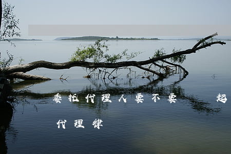 委托代理人要不要寫進起訴狀(起訴狀需要寫代理律師嗎)