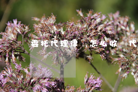 委托代理律師怎么收費(代理律師費怎么收取)