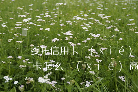 委托信用卡協(xié)商分期靠譜嗎(信用卡怎么協(xié)商分期)