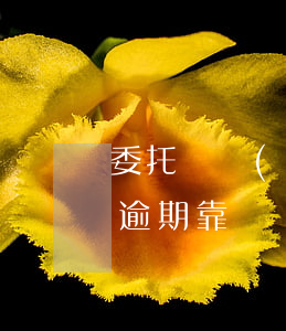 委托債務(wù)公司協(xié)商借唄逾期靠譜嗎-委托債務(wù)公司解決