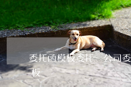 委托函模板 委托書(公司委托公司的委托函模板)