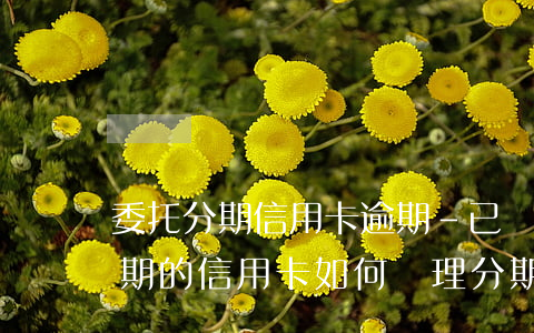 委托分期信用卡逾期-已經(jīng)逾期的信用卡如何辦理分期