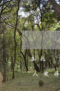 委托別人做停息掛賬如何保證安全-委托別人做停息掛賬如何保證安全呢