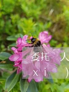 委托別人起訴的委托書(shū)怎么寫(xiě)(委托別人起訴的委托書(shū)怎么寫(xiě))