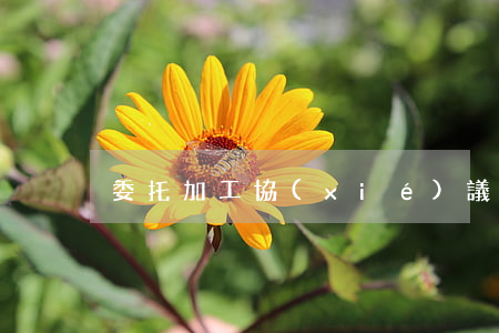委托加工協(xié)議書(shū)