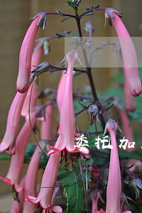委托加工合同糾紛怎么解決