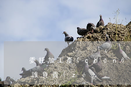 委托加工產(chǎn)品質(zhì)量誰負責(zé)