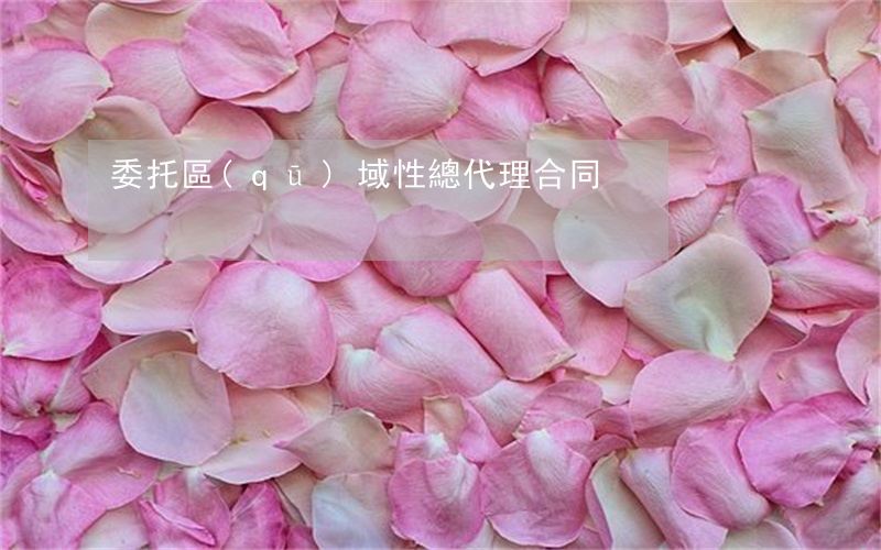 委托區(qū)域性總代理合同