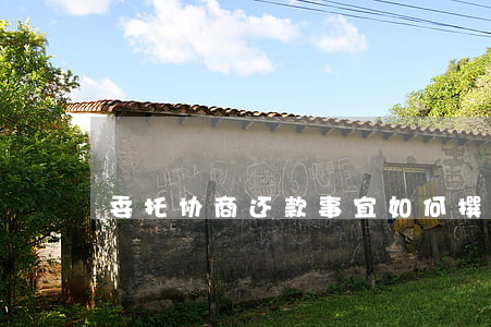 委托协商还款事宜：如何撰写范文？