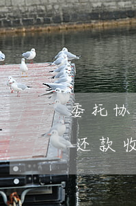 委托协商还款怎么收钱的，如何通过委托协商还款收取费用？