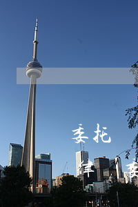 委托協(xié)議糾紛律師怎么委托(委托律師委托書)
