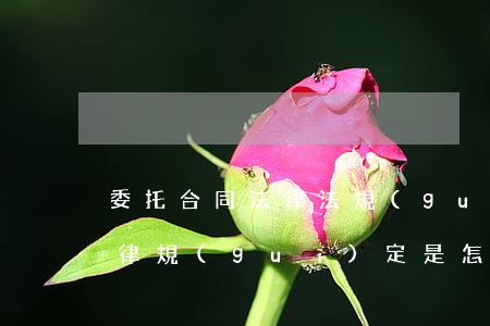 委托合同法律法規(guī)(委托合同法律規(guī)定是怎樣的)