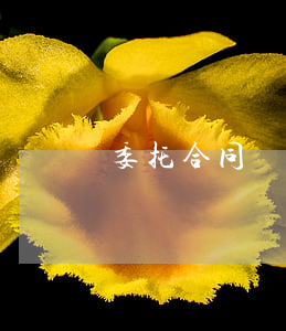 委托合同糾紛律師要多少錢