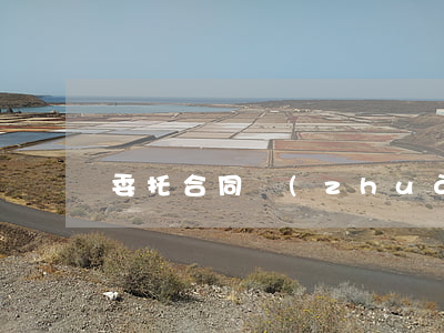 委托合同轉(zhuǎn)讓協(xié)議