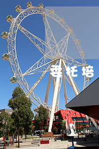 委托培訓(xùn)合同