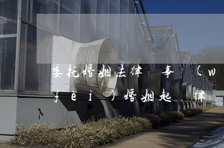 委托婚姻法律師事務(wù)所怎么收費(fèi)(婚姻起訴律師費(fèi)是多少)