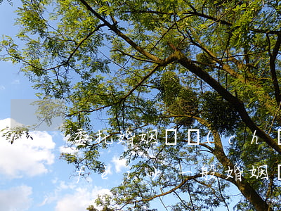 委托婚姻財產(chǎn)律師怎么收費(fèi)(一般婚姻糾紛律師怎么收費(fèi))