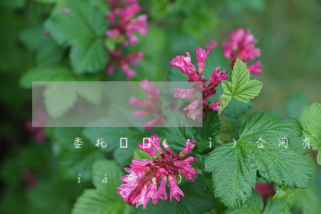 委托審計(jì)合同有什么注意事項(xiàng)