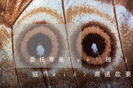 委托專業(yè)機(jī)構(gòu)協(xié)商還款要先給錢嗎-委托協(xié)商還款怎么收錢的