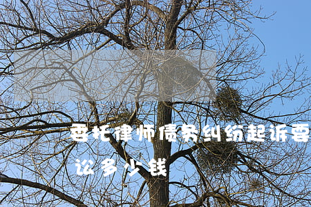 委托律师债务纠纷起诉要多少钱(委托律师诉讼多少钱)