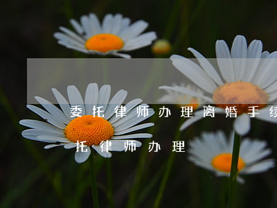 委托律师办理离婚手续流程(离婚手续可以委托律师办理?)