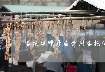 委托律师开庭费用(委托律师出庭需要多少钱)