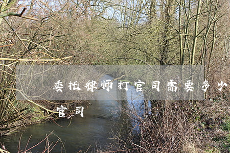 委托律师打官司需要多少钱(如何委托律师打官司)