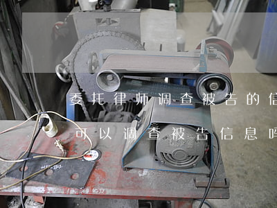 委托律师调查被告的信息要多少钱(原告律师可以调查被告信息吗)