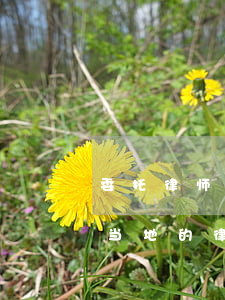委托律师进行离婚协议谈判(离婚协议书是找当地的律师事务所吗)