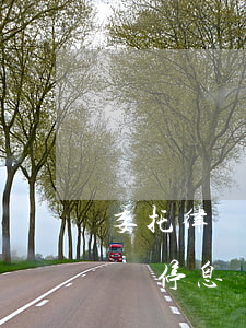 委托律師停息掛賬需要些什么資料-委托律師停息掛賬需要些什么資料呢