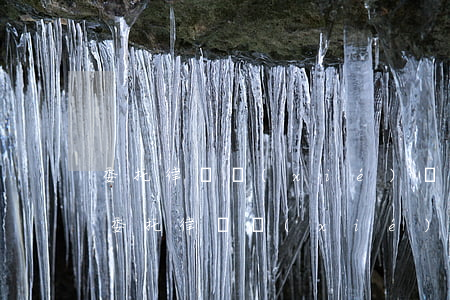 委托律師協(xié)議書(shū)合同(委托律師協(xié)議書(shū)合同多少錢(qián))