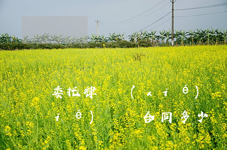 委托律師協(xié)議書(委托律師協(xié)議書合同多少錢)