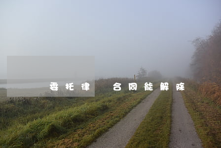 委托律師合同能解除嗎