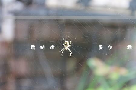 委托律師寫訴狀多少錢(委托律師寫訴狀多少錢)