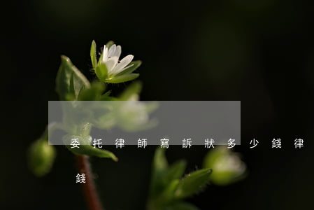 委托律師寫訴狀多少錢(律師寫訴狀一般多少錢)