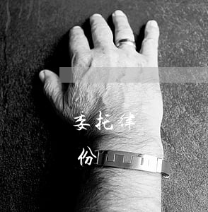 委托律師寫訴狀多少錢(律師起訴狀多少錢一份)