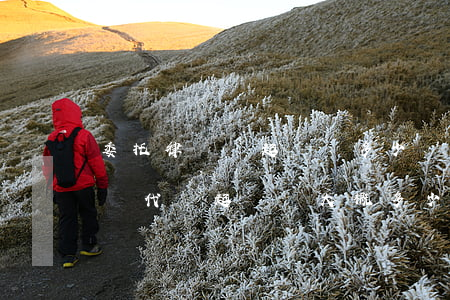 委托律師寫起訴狀多少錢(請(qǐng)律師代寫起訴狀大概多少錢)