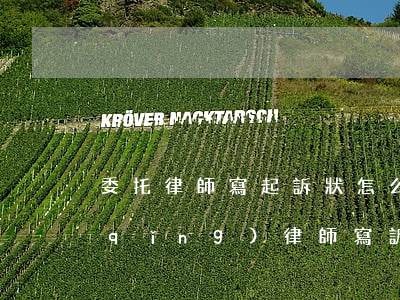 委托律師寫起訴狀怎么收費(fèi)(請(qǐng)律師寫訴狀大概多少費(fèi)用)