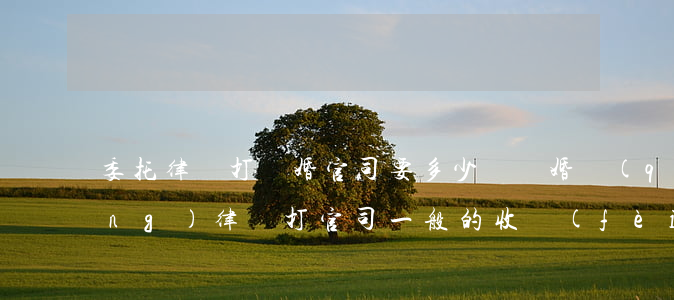 委托律師打離婚官司要多少錢(離婚請(qǐng)律師打官司一般的收費(fèi)標(biāo)準(zhǔn)是多少)