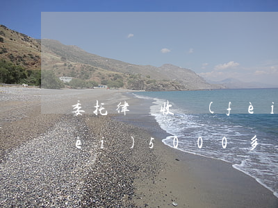 委托律師收費(fèi)(委托律師收費(fèi)5000多嗎)